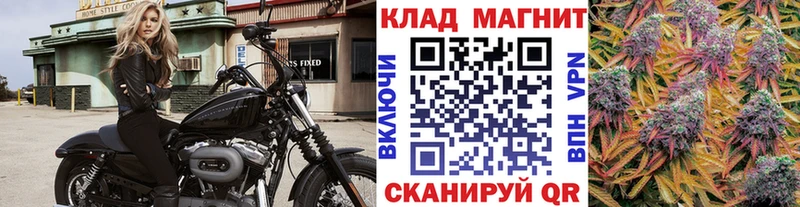 Где купить Заволжье Марихуана A-PVP ГАШИШ МЕФ Cocaine