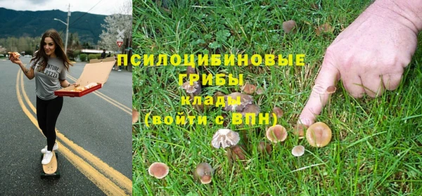 метамфетамин Ладушкин
