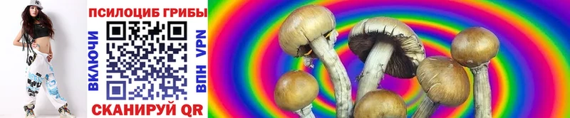 Псилоцибиновые грибы Psilocybe  площадка какой сайт  Заволжье 