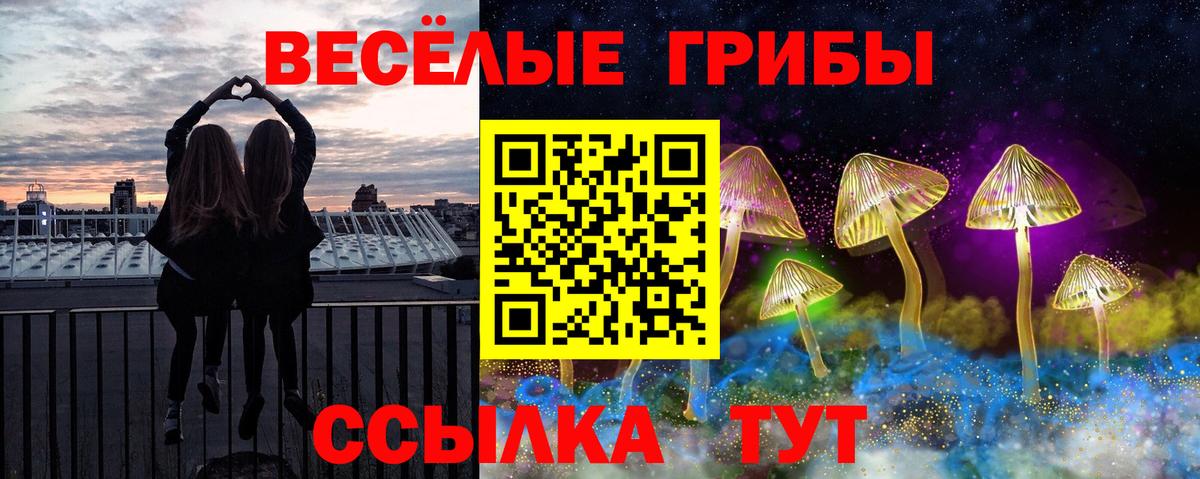 Галлюциногенные грибы MAGIC MUSHROOMS  Заволжье  Галлюциногенные грибы Psilocybe 