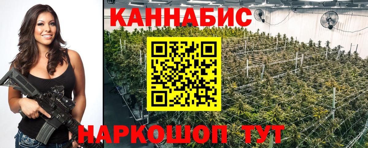 МАРИХУАНА сатива Заволжье